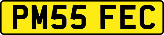 PM55FEC