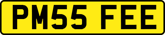 PM55FEE
