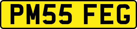 PM55FEG