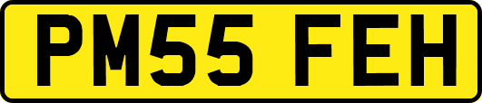 PM55FEH