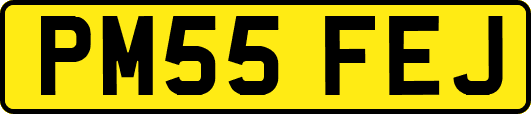 PM55FEJ