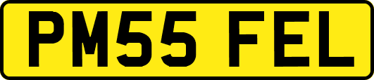 PM55FEL