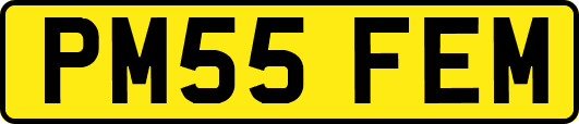 PM55FEM