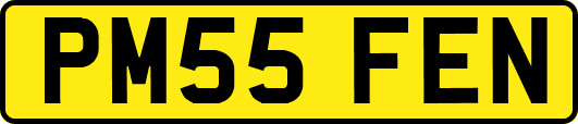 PM55FEN