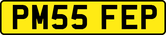PM55FEP
