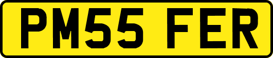 PM55FER