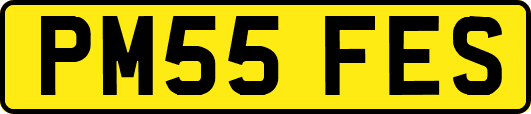 PM55FES