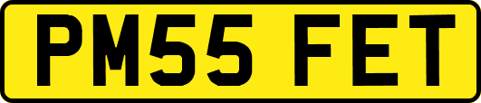 PM55FET