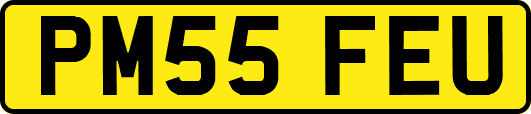 PM55FEU