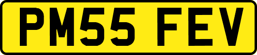 PM55FEV