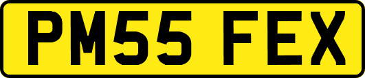 PM55FEX