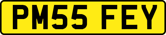 PM55FEY