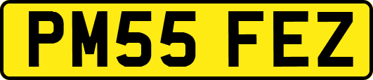 PM55FEZ