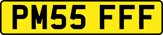PM55FFF