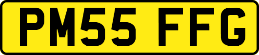 PM55FFG