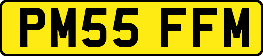 PM55FFM
