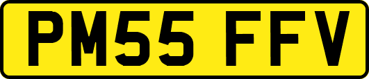 PM55FFV