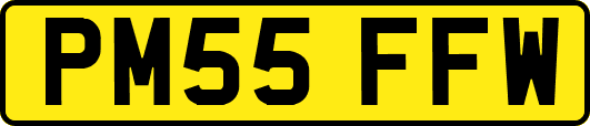PM55FFW
