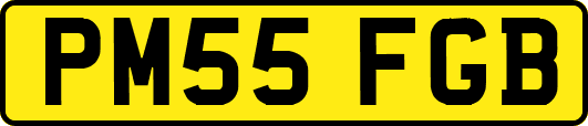PM55FGB