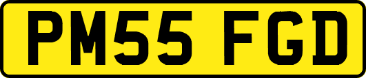 PM55FGD