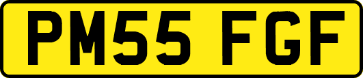 PM55FGF