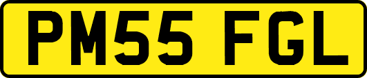 PM55FGL