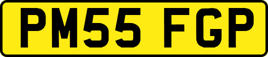 PM55FGP