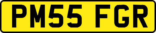 PM55FGR