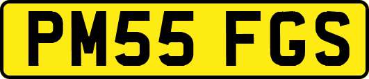 PM55FGS