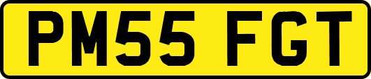 PM55FGT