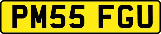 PM55FGU