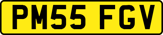 PM55FGV