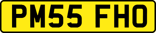 PM55FHO