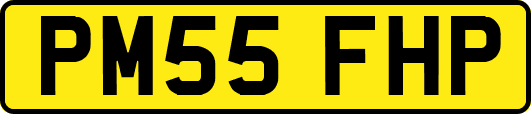 PM55FHP