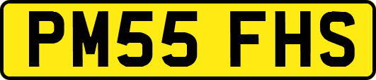 PM55FHS