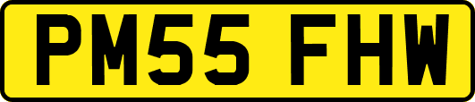 PM55FHW