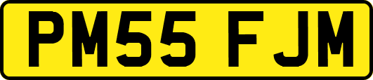 PM55FJM