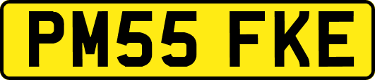 PM55FKE