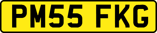 PM55FKG