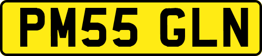 PM55GLN
