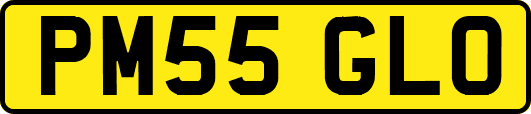 PM55GLO