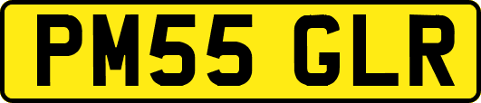 PM55GLR