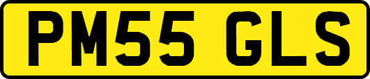 PM55GLS