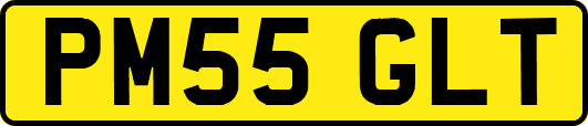 PM55GLT