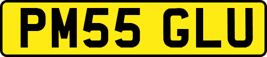 PM55GLU