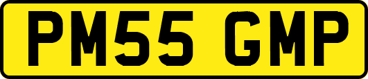 PM55GMP