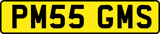 PM55GMS