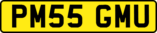PM55GMU