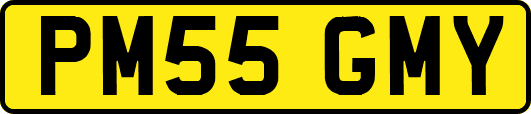 PM55GMY