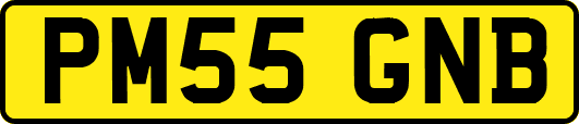 PM55GNB